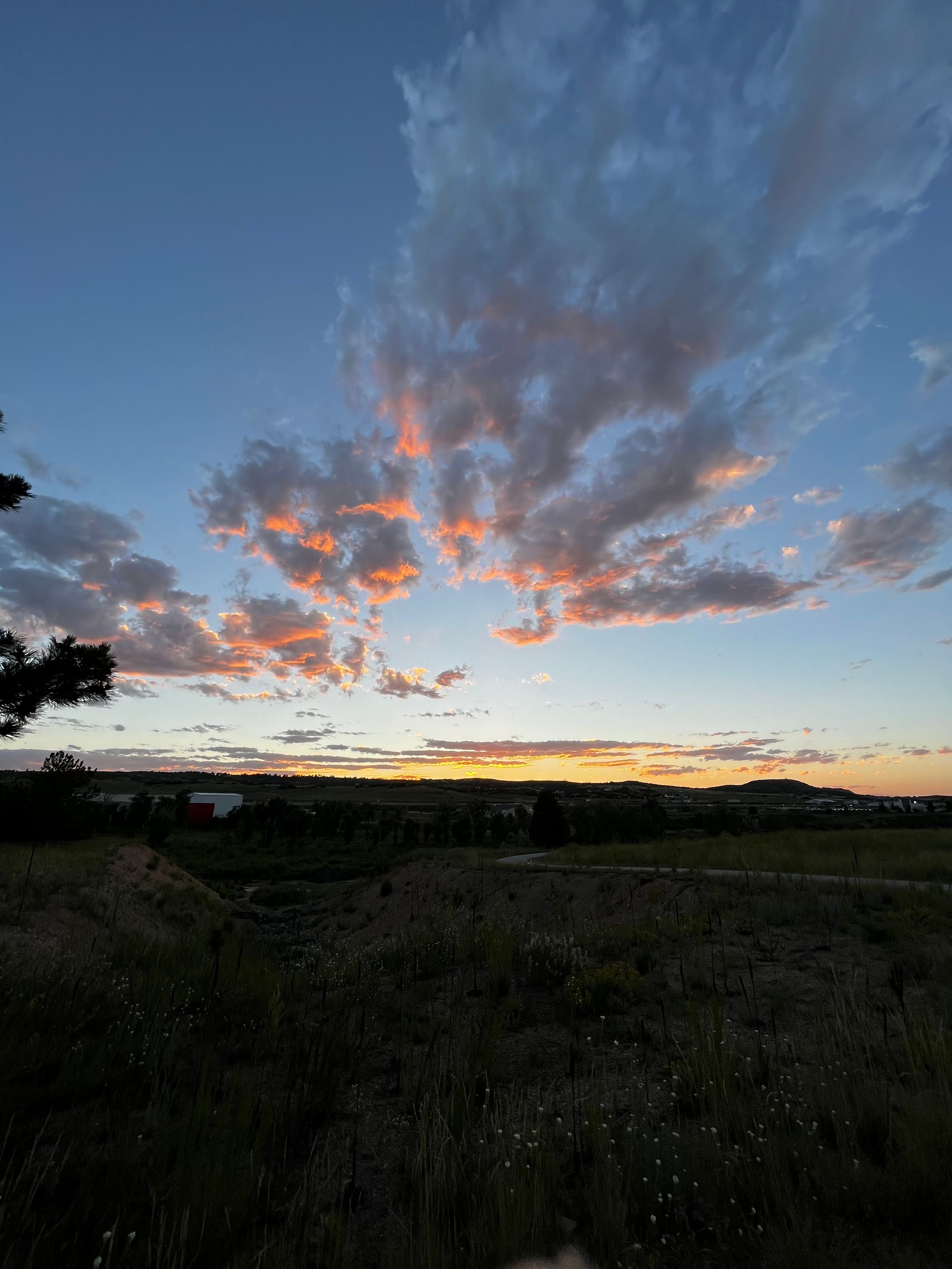 Embracing the Calm: A Journey to a Fulfilling and Connected Life